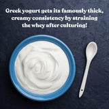 Cultures for Health Greek Yogurt Starter Culture | 2 Packets Dehydrated Heirloom Style DIY Probiotic Yogurt | Delicious for Smoothies, Granola and Berries, Tzatziki, Soup, & Other Healthy Snacks
