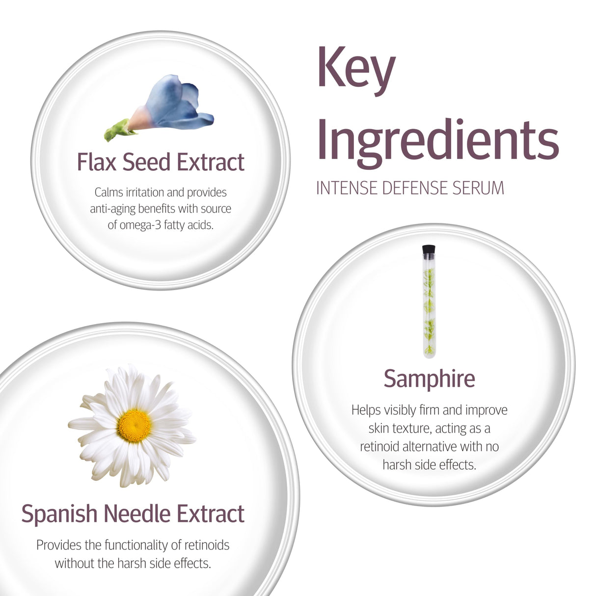 Epionce Intense Defense Serum - Anti-Aging Facial Serum with Vitamin C, Vitamin E, Vitamin D, A, B, & Niacinamide, Dermatologist Skincare