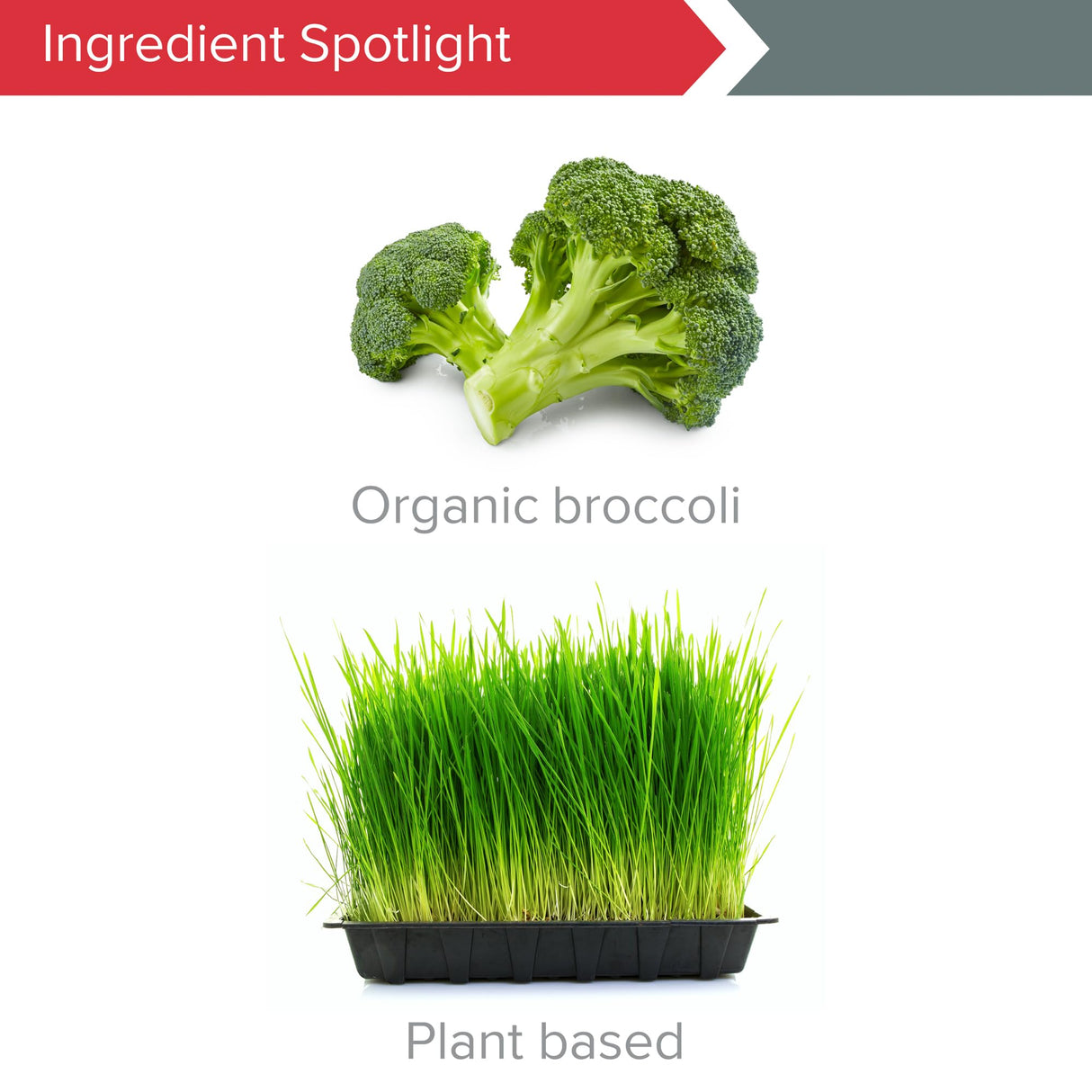 Vibrant Health, Boron, Vegetarian Support for Joint and Bone Health, 60 Capsules