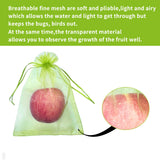 YHJZ 100PCS Fruit Protection Bags, 8x12 Inch Green Fruit Netting Cover Bags Drawstring Mesh Fruit Protectors Pest Barrier for Plant Fruit Flower Veggies Garden