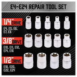 SEDY 14-Piece E-TORX Socket Set - Premium Female Torx Socket Set, Ultimate Torque Star Sockets, External Torx Sockets, E4 E5 E6 E7 E8 E10 E11 E12 E14 E16 E18 E20 E22 E24