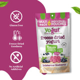 YoGut Freeze Dried Yogurt Snack, Blueberry, 6 Pack, Healthy Snacks for Kids, Toddlers & Adults, Gluten Free, Non GMO, With 5 Billion Live Probiotics, Vitamins & Minerals, Individual Snack Packs
