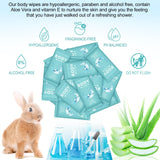 Treela 300 Pcs Bulk Large Body Wipes Individually Wrapped Big Bath Wipes for Adults Bathing No Rinse Shower Bulk Deodorant for Homeless Hygiene Personal Cleansing for Travel Gym(7.09" X 9.84",Blue)