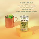 Fever-Tree Ginger Beer, 3-Ginger Blend Mixer, 24 Pack, 5.07 Fl Oz Cans