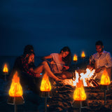 Toodour Solar Halloween Lights Outdoor, 4 Pack Solar Torch Light Waterproof