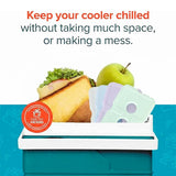 Healthy Packers Ice Packs for Lunch Boxes & Coolers - Freezer Packs - Original Cool Pack | Cooler Accessories for Beach, Camping & Fishing | Slim & Long-Lasting Reusable Ice Pack for Cooler