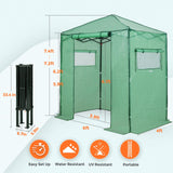 EAGLE PEAK 6x4 Portable Walk in Greenhouse, Pop Up Indoor Outdoor Greenhouse, Green House Kit with Zippered Roll-Up Doors and Windows, PE Cover, Clear/Green