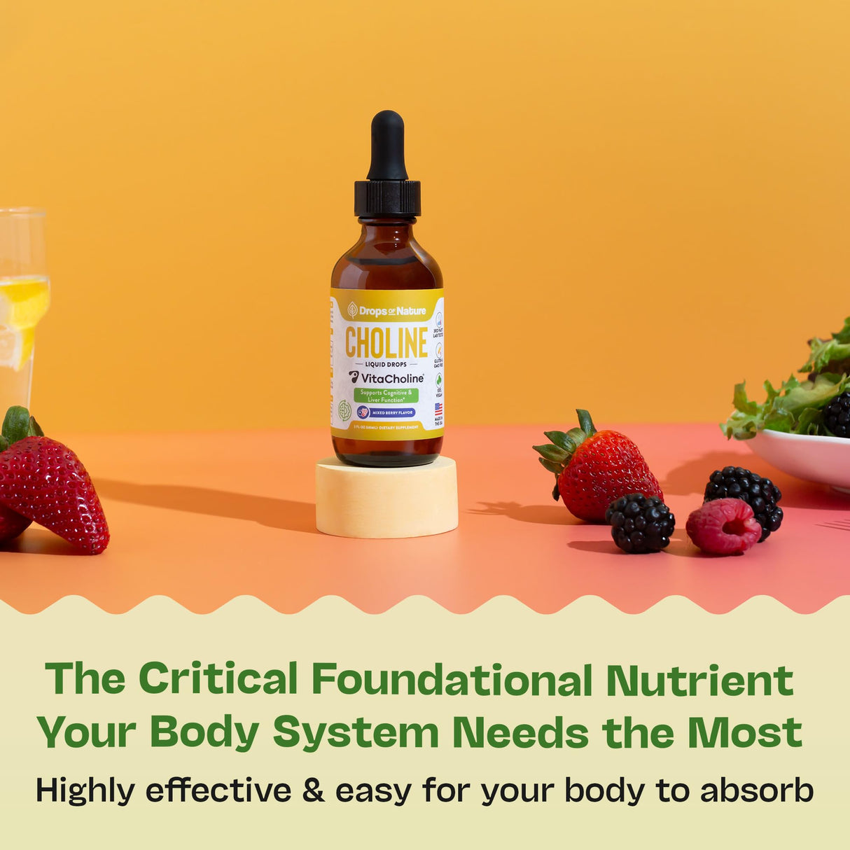 Choline Liquid Drops Supplement – Vegan, Gluten-Free, GMO-Free, Easy Absorption Formula – With Essential Nutrients for Brain Health and Vitality – Complements Inositol Supplements (Mixed Berry, 60 mL)