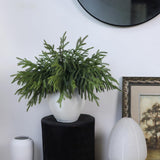 YXZZWL 32 Pcs Christmas Norfolk Pine Branches, 18 Inch Real Touch Artificial Norfolk Pine Branch Faux Cedar Pine Stem Fake Greenery Picks for Vase DIY Garland Wreath Home Decoration