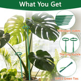 Telescoping Monstera Plant Stakes, 12.5-48.4IN Indoor Plant Support- 7Pack