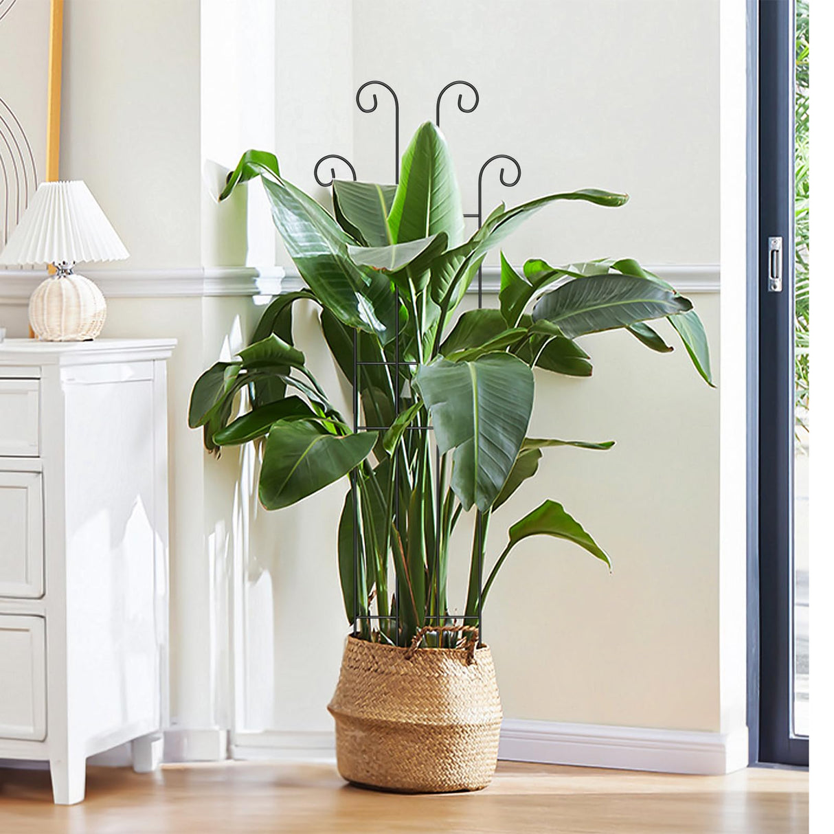 2 Set 32'' Taller Plant Trellis for Climbing Plants Indoors & Outdoor, Garden Metal Trellis Plant Support for Potted Plants, Houseplants, Flowers Vine, Ivy, Pothos, Monstera