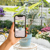 GOOOXIM 8.7 Inch Indoor Plant Trellis 10 Pack Small Gold Plant Supports