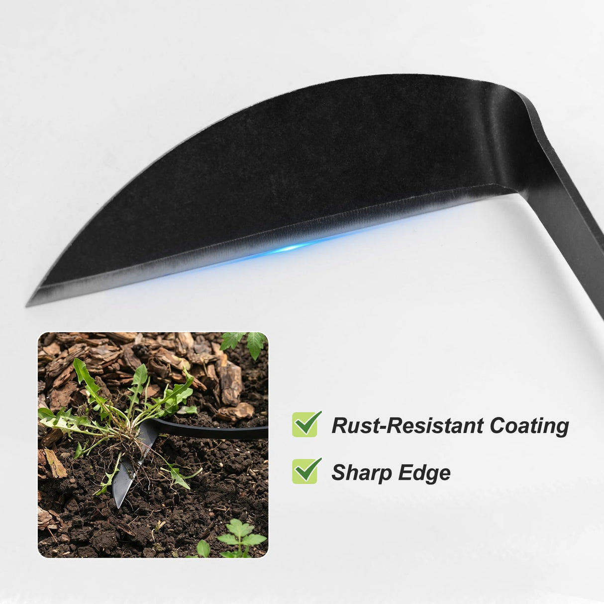 Blossom Buddy Cape Cod Weeder – Right Hand, Hand Weeding Tool for Tight Spaces Weeder Hoe with Ergonomic Ash Wood Handle for Weeding, Soil loosening, Digging