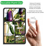 Hytihtu 50Pcs Plant Support Clips Plastic Trellis Clips, Tomato Vine Clips