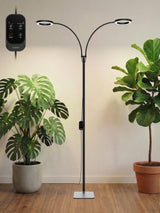 GLOWRIUM Grow Lights for Indoor Plants, 36W Full Spectrum 2-Head LED Plant Light with Stand, Adjustable Height, 3/9/12H Timer, 6 Dimmable Levels & 3 Lighting Modes(Black-Double Head)