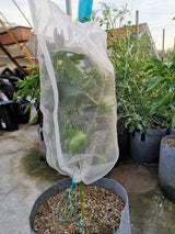 Belit 10Pcs 23.6"x15.7" Garden Netting pest Barrier Tomatoes Protection Bags Large Size Nylon Mesh Reusable Fruit Bags for Protecting Fruits Vegetables