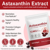 Xaarty 2Pack Premium Astaxanthin 12mg, Natural Antioxidant Supplement for Eye, Joint, Skin Health,Microalgae Source, 4 Month Supply | Supports Internal Circulation, 240 Softgels