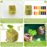 Halatool 1.5 in Rockwool Cubes for Hydroponics, 196 Plugs Seed Starter Cube