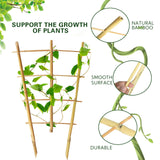 Sprigra Bamboo Trellis 2FT 3 Pack, Plant Ladder Stakes 24 Inches, Natural Fan-Shaped Bamboo Trellis for Orchid Vines, Monarchs, Ivy and Other Plants Climbing, Help Plant Growth