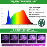 Qoolife Seed Starter Tray with Plant Light, 2 Pack Grow Lights for Seed Starting Kit with Humidity Domes, Timing Controller Adjustable Brightness for Greenhouse Propagator Station Growing Transparent