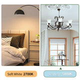 evelor 24-Packs A19 LED Light Bulbs,100 Watt Equivalent Daylight 5000K Bright Bulbs Efficient 13W,1500 Lumens E26 Base, Non-Dimmable, 15000-Hour Lifespan for Bedroom, Living Room, Office