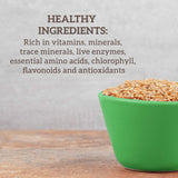 Hallelujah Diet Organic BarleyMax - Barley Grass Juice and Alfalfa Juice Powder, Vegan Formula, Plant-Based Dietary Supplement, Health Food Products, Original, 8.5 Ounce Bottle (60 Day Supply)