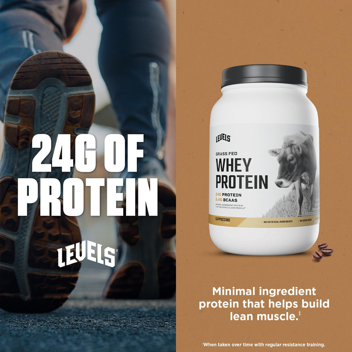 Levels Grass Fed Whey Protein Powder, No Artificials, 24G of Protein, Cappuccino, 2LB