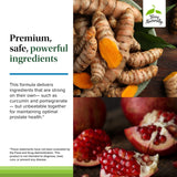 Terry Naturally Healthy PSA Levels - Dietary Supplement for Healthy Prostate & Hormone Balance Support - Herbal Supplement with Curcumin, Turmeric Essential Oil & Grape Seed Extract - 60 Softgels