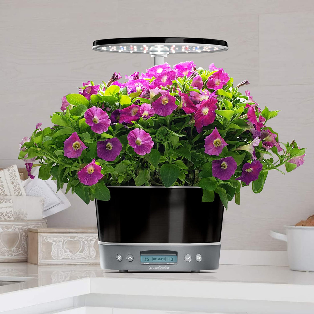 AeroGarden Harvest Elite 360, Platinum Stainless