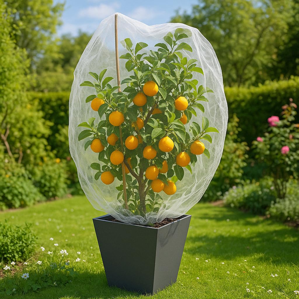 Fruit Tree Protection Bags 4.5x6 FT | Pack of 4 Garden & Insect Netting