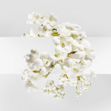 Un Jardin Sur La Lagune by Hermes for Women 3.3 oz Eau de Toilette Spray