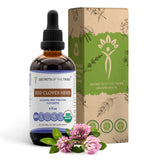 Red Clover Herb USDA Organic Tincture | Alcohol-FREE Extract, High-Potency Herbal Drops| Made from 100% Certified Organic Red Clover Herb (Trifolium Pratense) Dried Leaf and Flower 4 oz