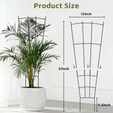 FAFTFTDY Trellis for Climbing Plants Indoor, 4 Pack 31'' Metal Plant Trellis Indoor for Potted Plants, Sturdy Plant Support Outdoor for Ivy Pothos Monstera Hoya Flower Vine, Fan Shape