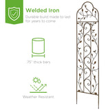 Best Choice Products Set of 2 60x15-inch Iron Arched Garden Trellis w/Branches, Birds for Lawn, Garden, Backyard, Climbing Plants