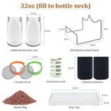 Seed Sprouting Kit with Radish 80g, 2 Large Wide Mouth Mason Jars with Sprout Lids, Blackout Sleeves, Drain Tray, Stainless Steel Stand, Sprouts Growing Kit for Growing Bean Alfalfa Sprout Seeds