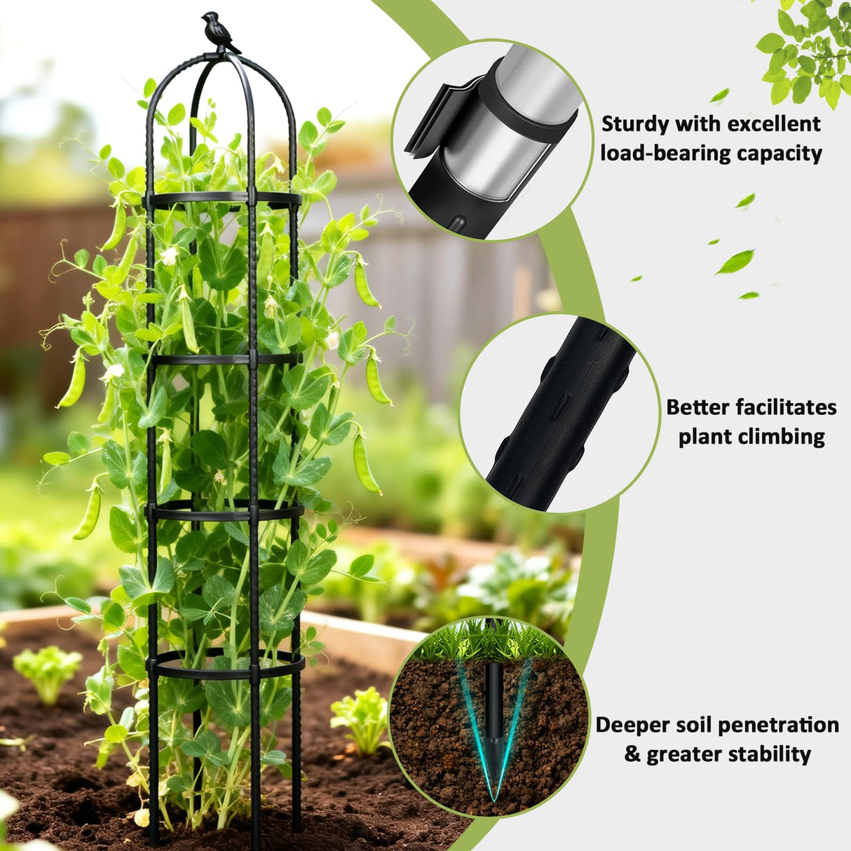 Garden Obelisk Trellis for Climbing Plants Outdoor, 6.2 FT Tomato Cage, Rose, Flowers, Grape, Pea, Cucumber Trellis, Rustproof Plastic Coated Metal Plant Support Trellis for Potted Plants (2 Pack)