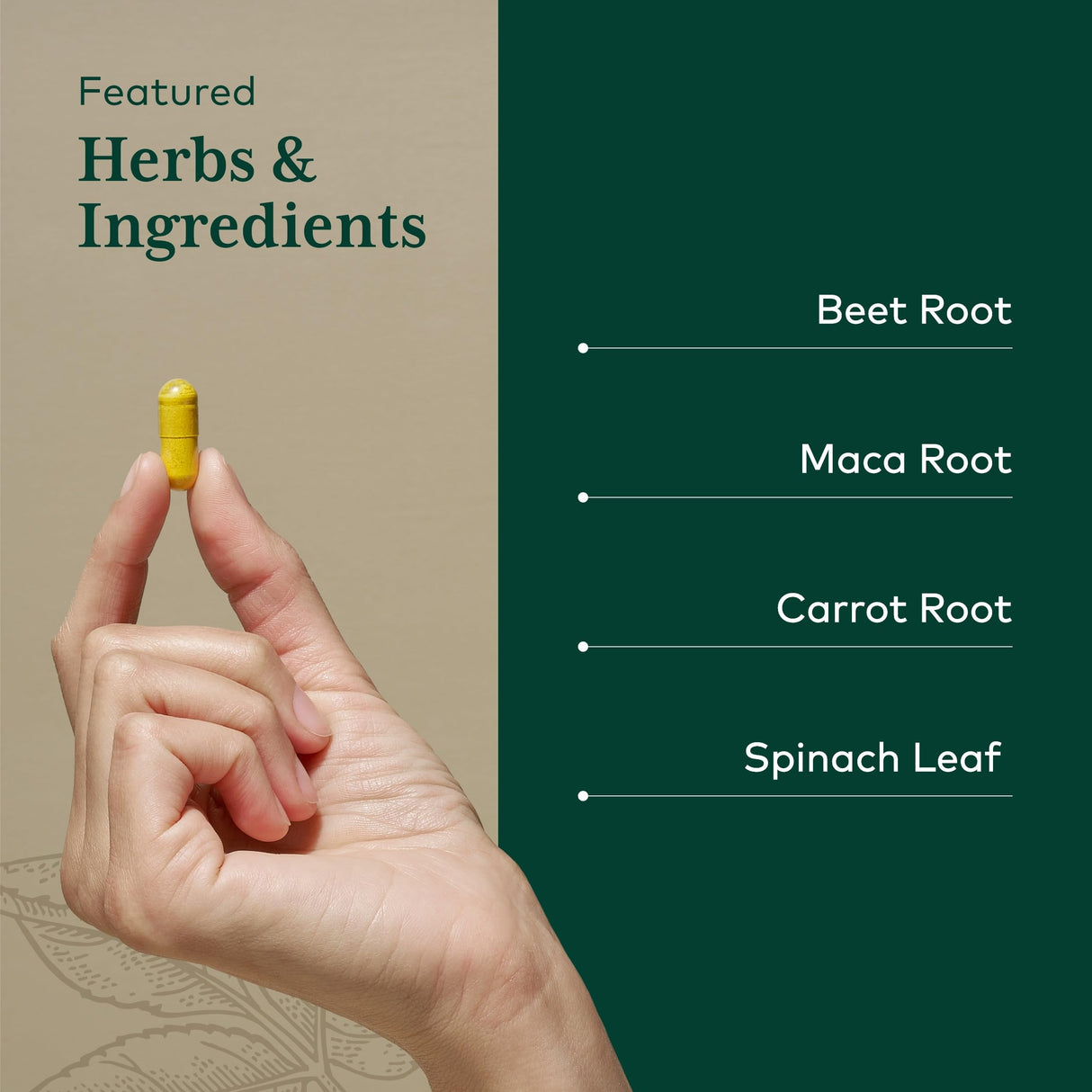 Gaia Herbs PRO Fermented Beet & Maca - Healthy Energy & Circulation Support Supplement* - Kidney Health Supplement with Beet & Carrot Root - Vegan, Gluten-Free, Soy-Free - 60 Capsules (30 Servings)