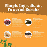 Organic Irish Sea Moss Capsules - Organic Sea Moss Pills with 2100mg Serving Superfood Complex with Bladderwrack Burdock Root and BioPerine for Immune Skin & Thyroid Support - Vegan Non-GMO (1 Month)