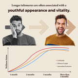 Telomere Lengthening Supplements – Organic Astragalus, Gotu Kola, Vitamin D3, Folate, L-Theanine – Anti-Aging, DNA Repair, Immune & Cellular – 60 Vegan Capsules, Made in Japan (1 Bottle)