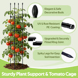 2 Pack Tomato Cages for Garden - Heavy Duty Tomato Trellis for Climbing Plants Outdoor & Indoor - 63 Inch Adjustable Tall Plant Cage & Support Garden Stakes for Pots Vegetables Flowers Fruits Vines