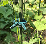 Fasmov 160 Piece Efficient Gardening Plant & Flower Spring Clips - for Supporting or Straightening Plant Stems, Stalks, and Vines