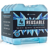 RIDGECOOL 4 Pack Reusable Extra Large Ice Packs for Cooler, Long Lasting Freezer Packs for Camping, Beach, and Road Trips, Cooler Ice Packs BPA-Free Non-Toxic, 10.28"x 7.80"