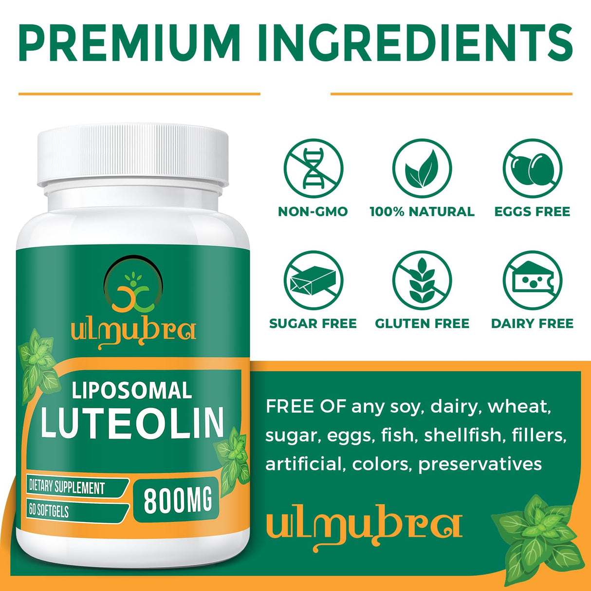 Ulmubra 800 MG Liposomal Luteolin Supplement - Maximum Absorption, Premium Antioxidant Supplement for Brain & Overall Well-Being, 60 Softgels - 30-Day Supply