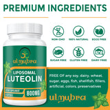 Ulmubra 800 MG Liposomal Luteolin Supplement - Maximum Absorption, Premium Antioxidant Supplement for Brain & Overall Well-Being, 60 Softgels - 30-Day Supply