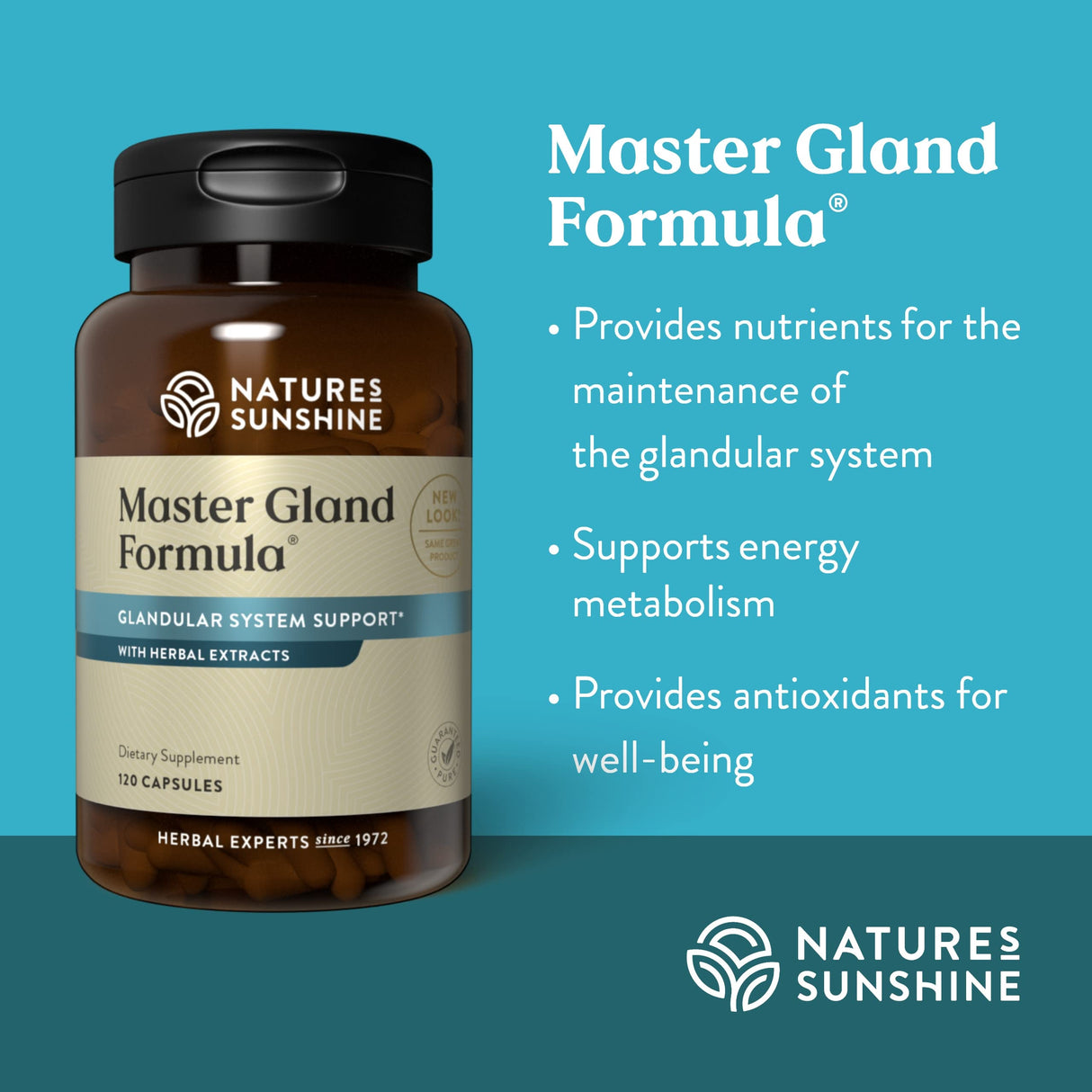 Nature's Sunshine Master Gland, 120 Capsules | Provides Complete Nutritional Support for Every Gland in the Body, Helps Support Energy Metabolism