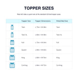 EGO 3 Inch Queen Mattress Topper Gel Memory Foam for Pressure Relief