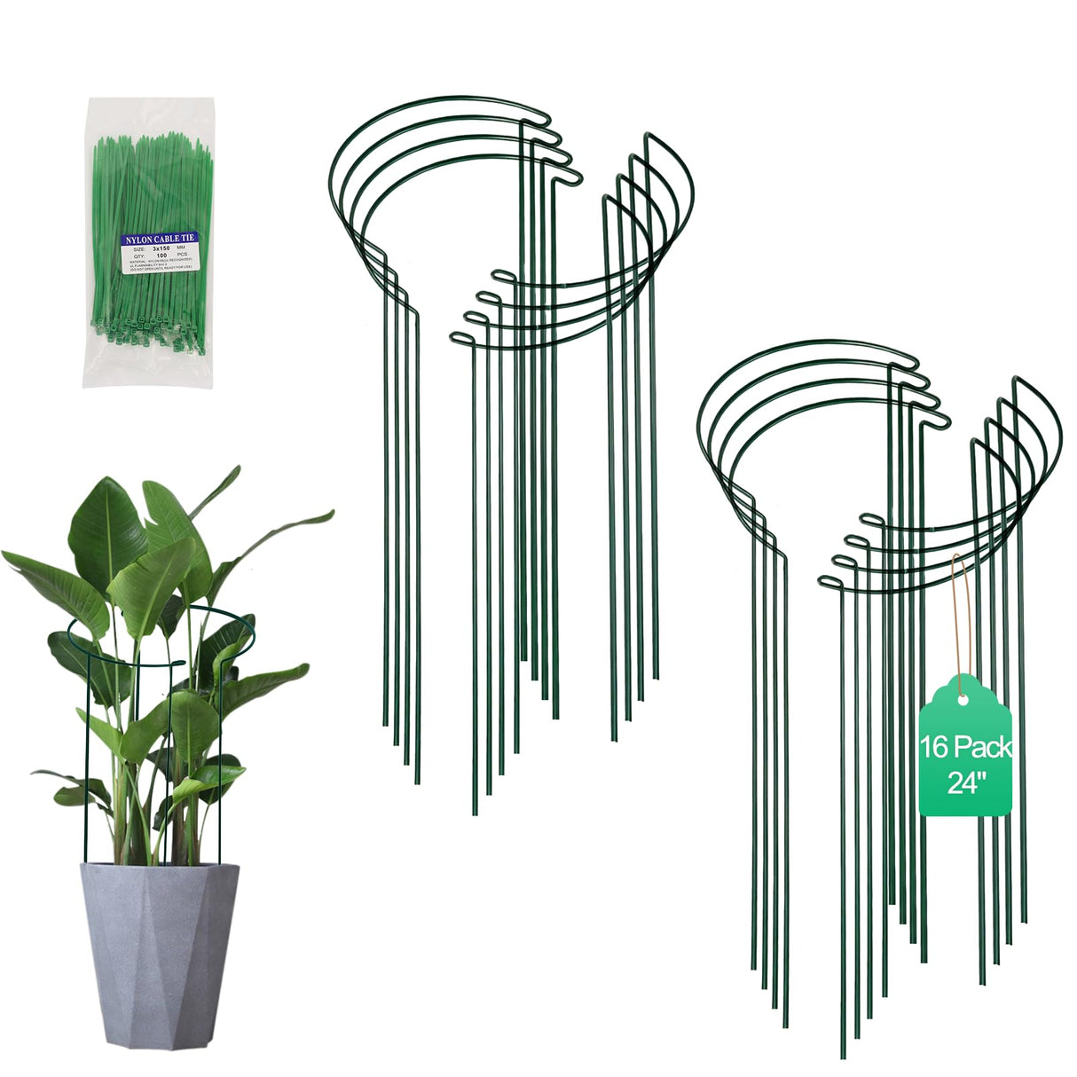 Tall Heavy-Duty 24in Plant Support Stakes - 8 Pack Adjustable Peony Cages & Supports for Outdoor Plants, Half-Round Garden Stakes for Hydrangea, Roses with Extension Stakes