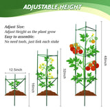 6 Pack Tomato Cage for Garden & Pots, Rust-Resistant Metal Plant Support