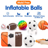 Qirptey 5 Pack Sports Balls Set for Boy Outdoor Kids Toys with Bag & Pump