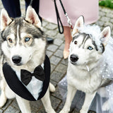 AOFITEE Dog Tuxedo Formal Dog Suit and Bandana Set, Gentle Dogs Wedding Party Suit Bow Tie Shirt, Tuxedo for Small Dogs Costume Outfit with Detachable Bowtie Collar for Christmas Halloween Dress Up